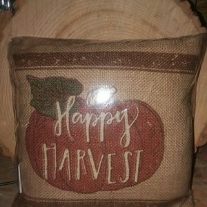 Brand new small pillow